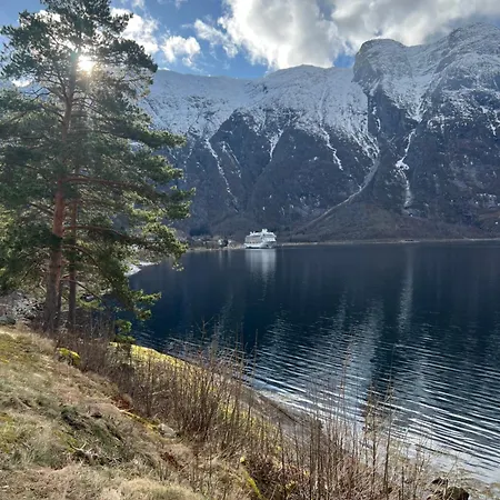 Fjell * 艾菲约德