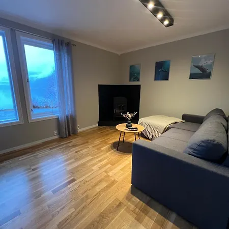 Fjell Apartment *